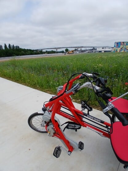 Vélo adapté Van Raam pour personnes à mobilité réduite, stationné sur un chemin près d'un champ fleuri.
