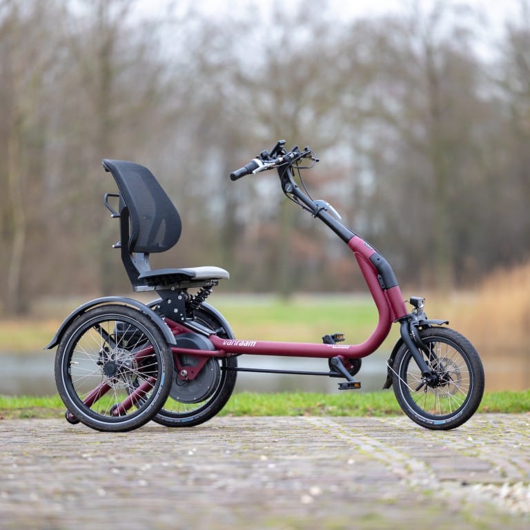 Tricycle Easy Rider Compact Van Raam