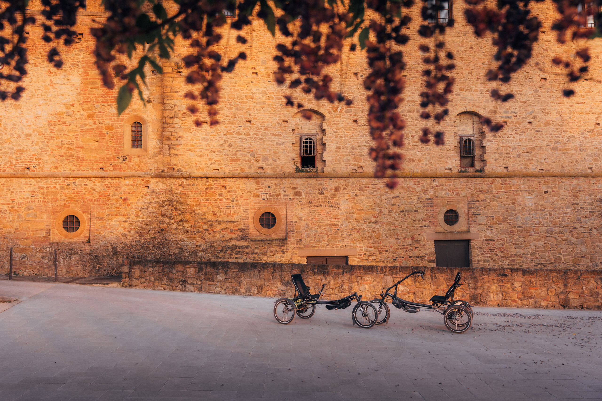Vélos adaptés pour tous, exposés devant un ancien bâtiment en pierre, avec des fleurs en arrière-plan.