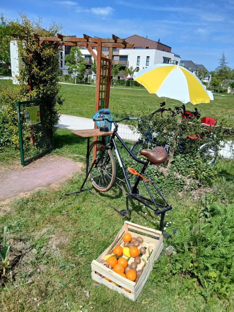 Vélo, parasol et cagette d'oranges dans un parc verdoyant, idéal pour une pause en plein air.