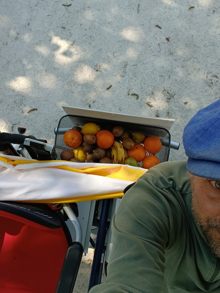 Vélo avec panier rempli de fruits, sur un chemin ensoleillé, reflétant le plaisir d'une sortie en famille.