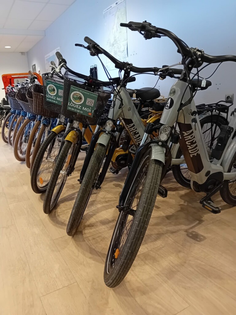 Vélos variés en exposition chez Roulez JEUnesse Loisirs, incluant VTC, VTT et modèles électriques.