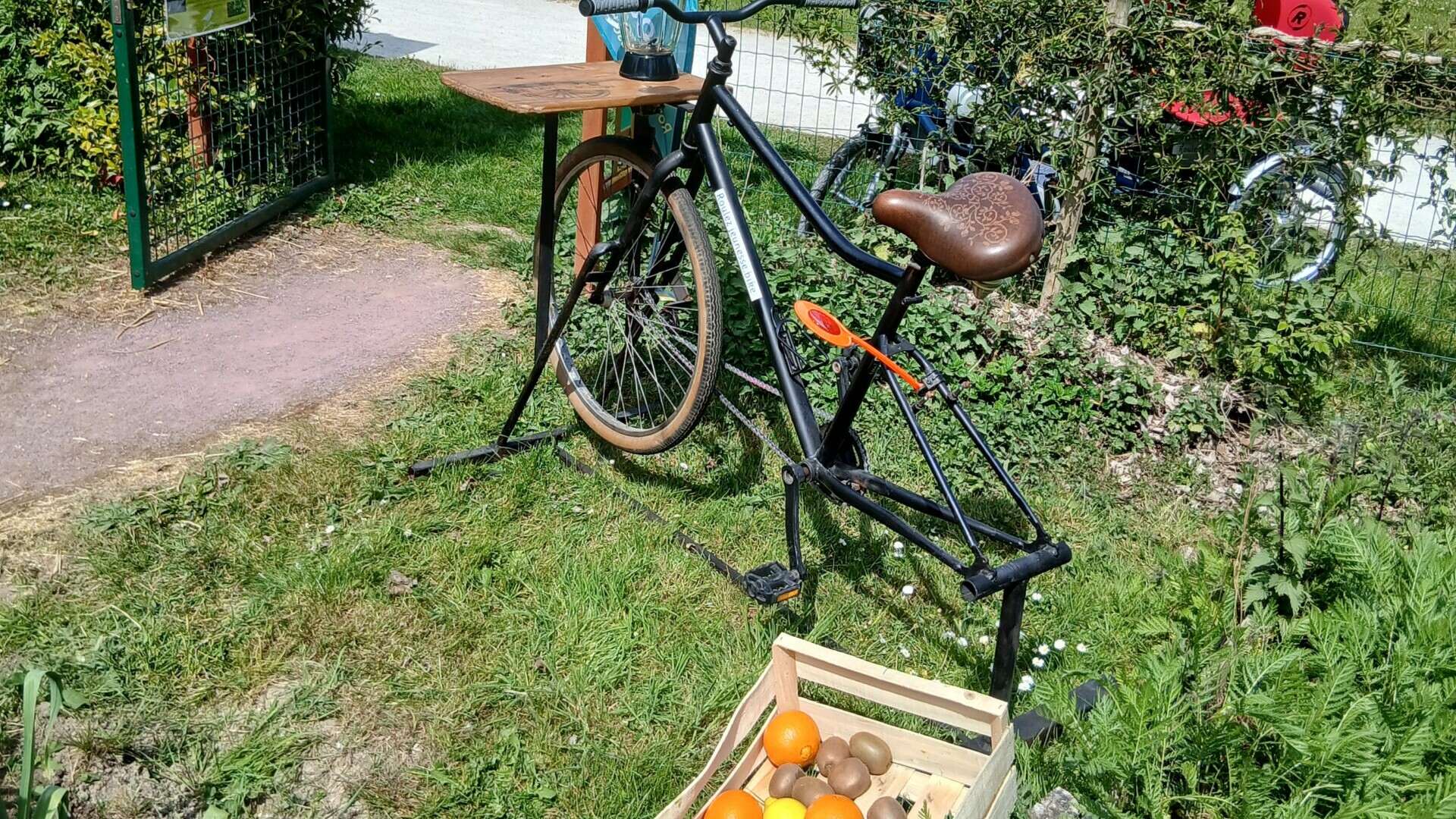Vélo, parasol et cagette d'oranges dans un parc verdoyant, idéal pour une pause en plein air.