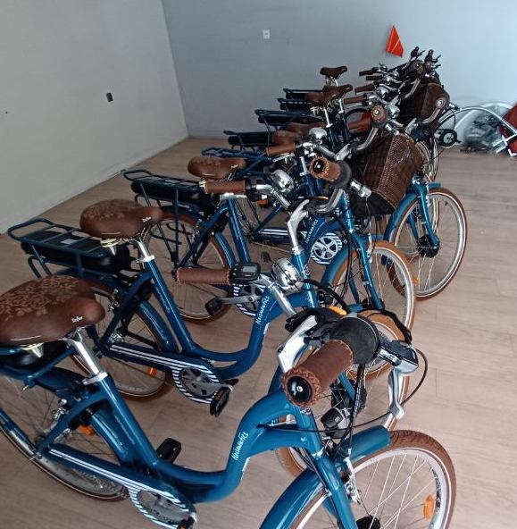 Vélos électriques de ville alignés avec sièges en cuir, disponibles chez Roulez JEUnesse Loisirs.