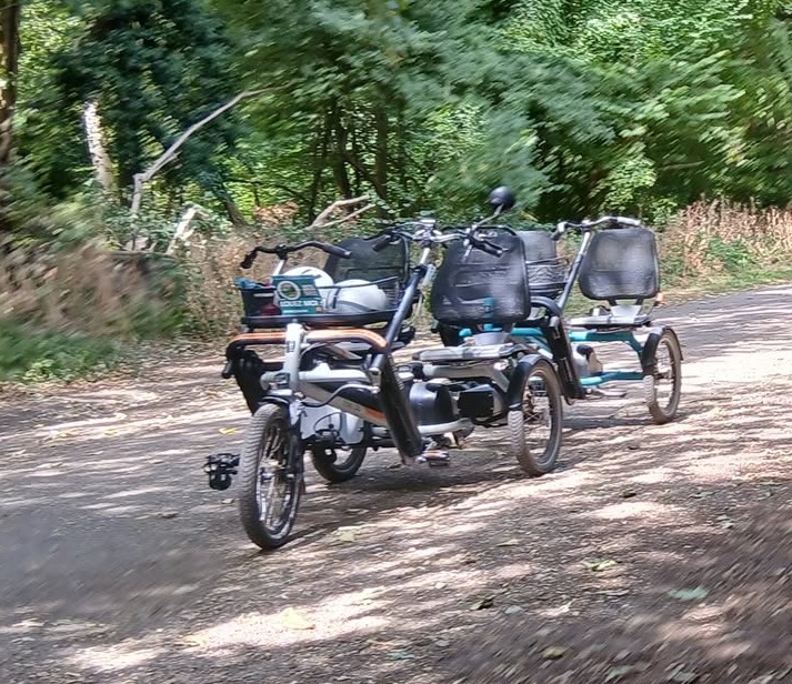 Vélos adaptés pour personnes à mobilité réduite sur une route forestière, disponibles chez JEUnesse Loisirs.