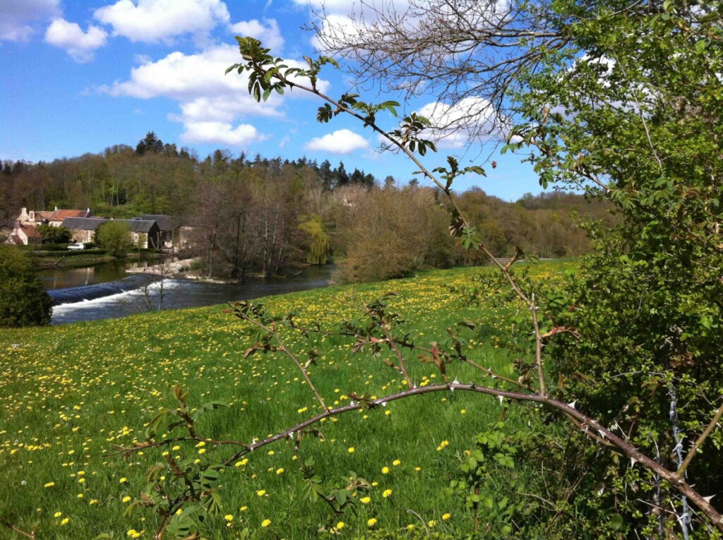 Paysage verdoyant avec fleurs jaunes, ruisseau et arbres, idéal pour les balades à vélo.