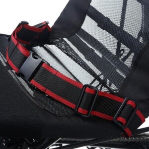 Ceinture ventrale