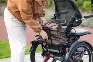 vanraam easy rider compact tricycle panier basculant